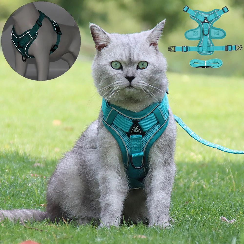 Escape-Proof & NO-PULL Harness and Leash Set for Cats