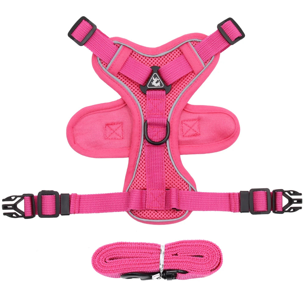 Escape-Proof & NO-PULL Harness and Leash Set for Cats